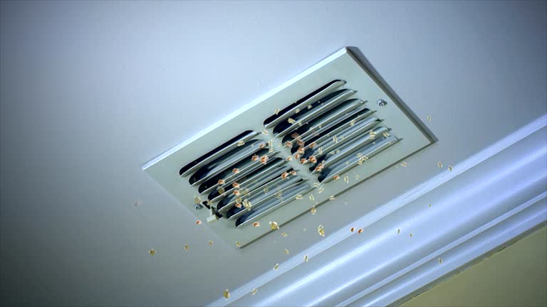 Best Air Duct Cleaning Near Me  in Wailea, HI
