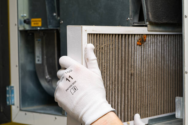 Best Affordable Duct Cleaning Services  in Wailea, HI