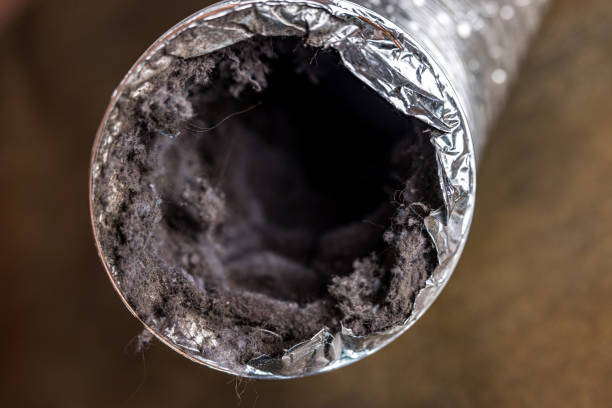 Best Affordable Air Duct Cleaning  in Wailea, HI