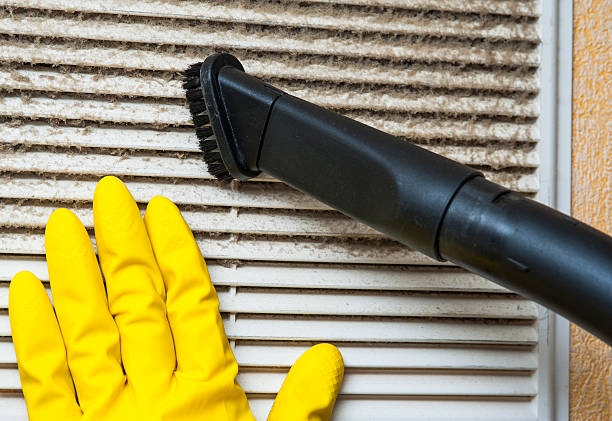 Best Affordable HVAC Duct Cleaning  in Wailea, HI